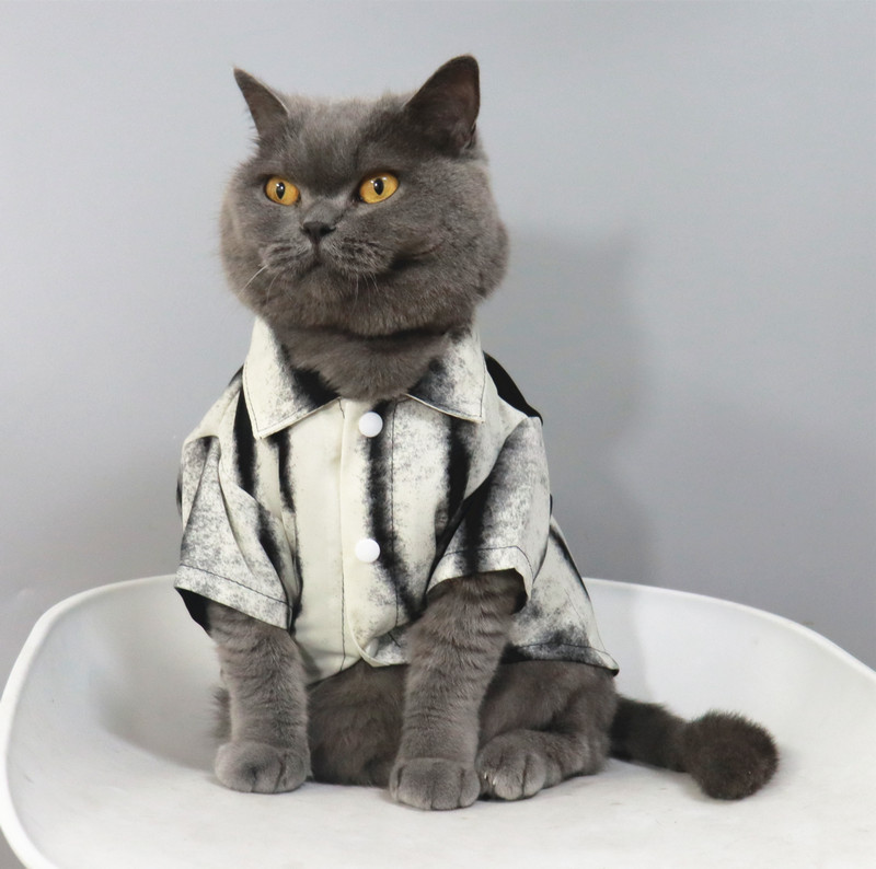 Trendy Pet Clothes for Cats and Small Dogs, Summer Thin Anti-Shedding Shirts, Splash-Ink Vacation Style Trendy Pet Clothes for Cats and Small Dogs, Summer Thin Anti-Shedding Shirts, Splash-Ink Vacation Style