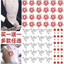 Jackson Yi with tattoo stickers pigeon wrist stickers finger stickers send you a small red flower paper crane bird