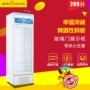 Sui Ling LG4-209LT Tủ đông Thương mại Tủ lạnh Trái cây dọc Tủ lạnh Tủ lạnh Cửa đơn Hiển thị Tủ đông - Tủ đông cấp đông mềm