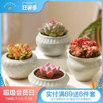 Yunnan straight hair succulents flower pot creative meat simple wild porcelain pot succulents Jiangnan style series flower pot