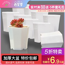  Succulent flower pot Creative meat octagonal pot Meat plant flower pot Mass sale Plastic pot Succulent pot bracket package
