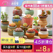  mumuhome succulents combination Indoor office Green plant meat plant flower desktop small potted package