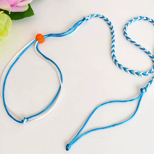 Добавить карту хомяка белка норк