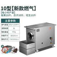 Тип 10 Новый газ 12V220V Двойное использование (с подарком)