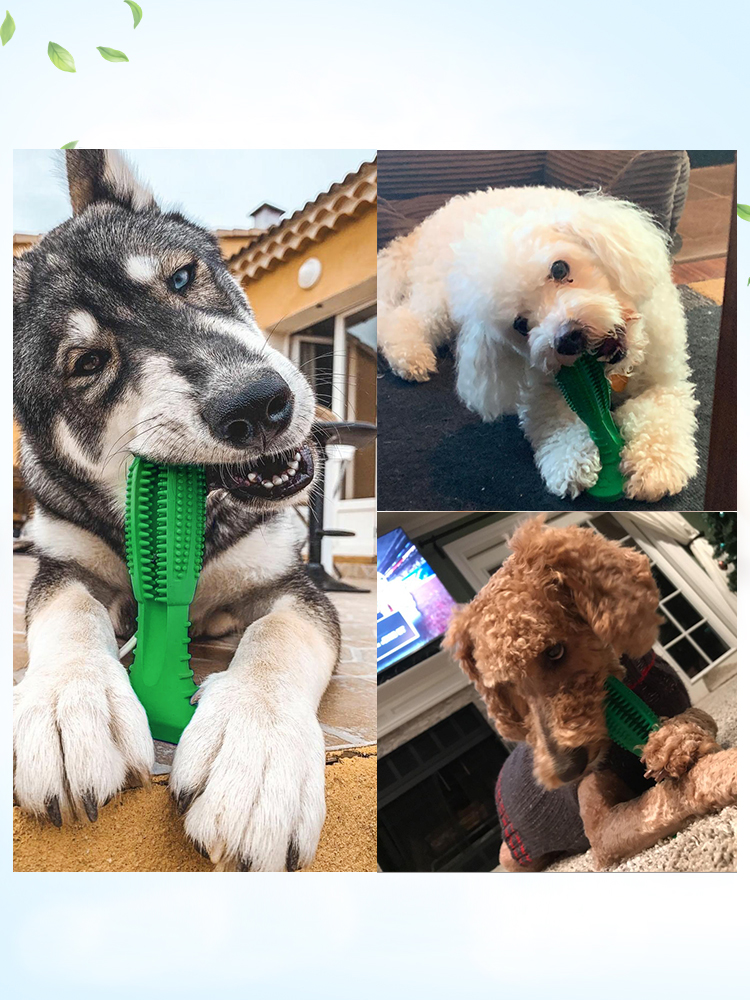 Dog toothbrush-resistant bite tooth stick puppies large dogs golden hairy border herd puppies brushing artifact pet toys supplies