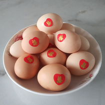 Wedding products self-adhesion love wedding egg mini-words stick rubber small household appliance dowry decoration