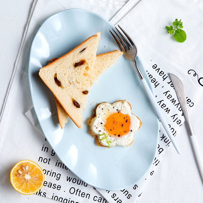 European ins Japanese color long household ceramic dish rectangular large steamed fish dish dish dish plate