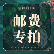 Shi Lipai live jade jewelry special shot link freight replacement