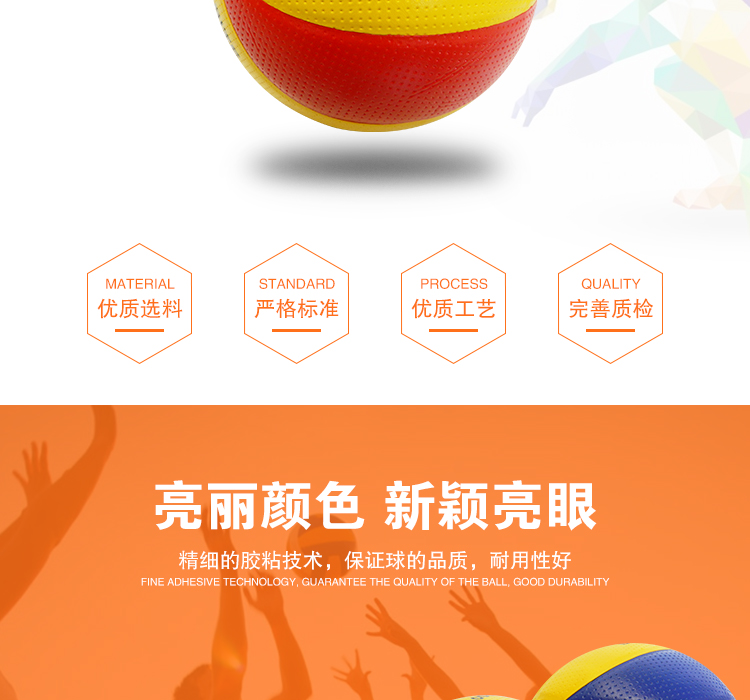 Ballon de volley - Ref 2011272 Image 8