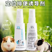 Pet positioning defecation-inducing agent 60ml Bottle Attractant Inducing Liquid