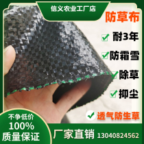Agricultural anti-grass film Weeding breathable seepage cloth Garden cloth Fruit and vegetable plastic woven cloth Sand erosion cloth