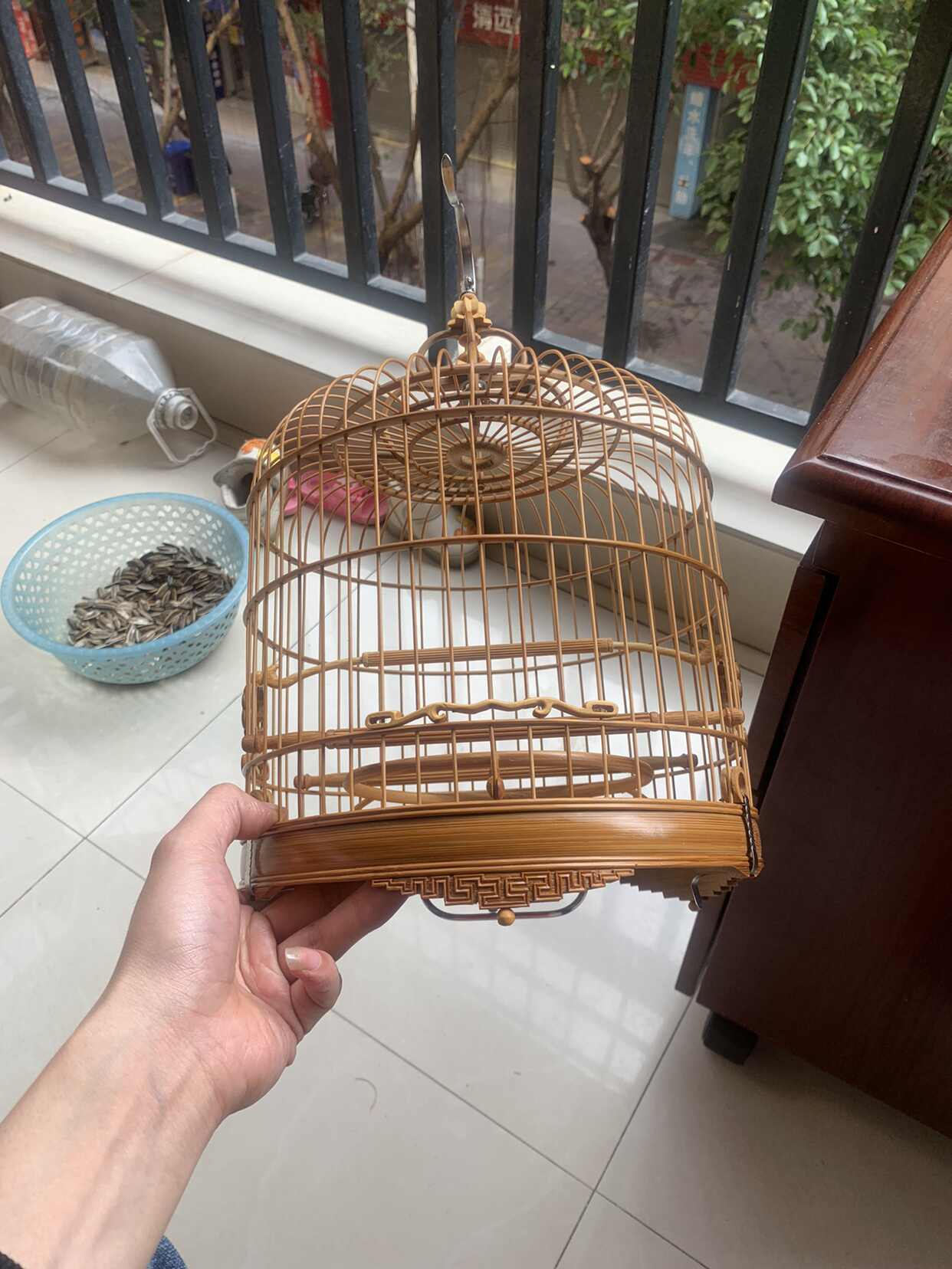 廣式繡眼鳥籠2026年2月-月銷口碑最新推薦-Taobao