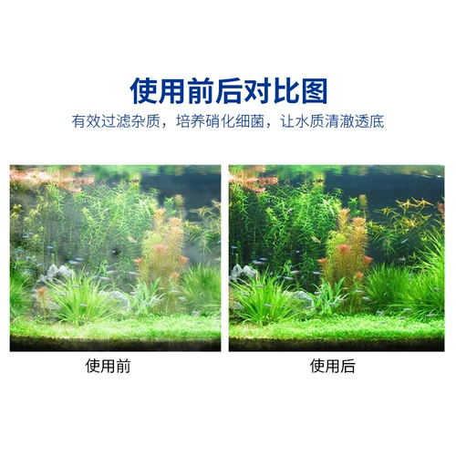朗笙岛 Рыбная аквариумная фильтрационный материал активированный активированным углеродным аквариумом.