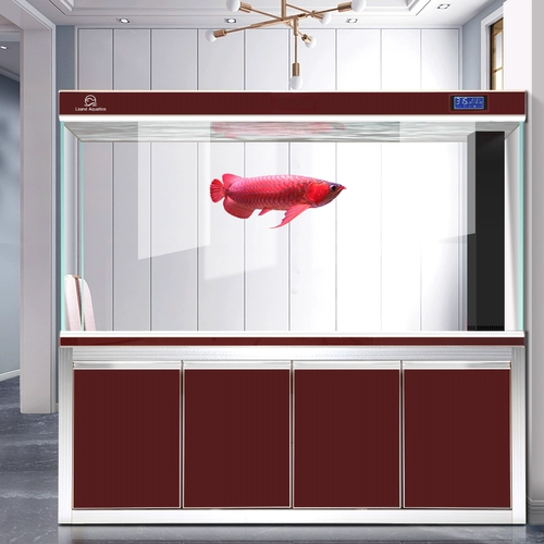 朗笙岛 Большой рыболовный аквариум для аквариума по дому без воды, экологический ленивый супер белый стеклянный фильтрация Арована Танк