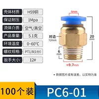 PC6-01 → 100 упаковок