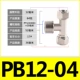 PB12-04