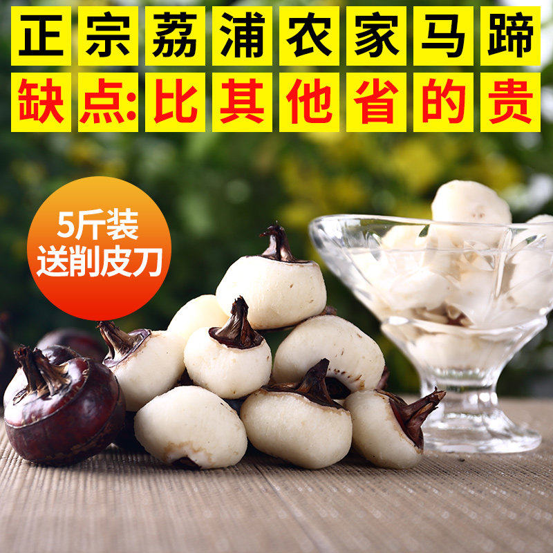 Guangxi specialized Lipu horseshoe fresh sweet and slurry juicy horseshoe seed 5 kg large