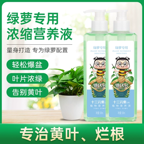 Зеленая линия питания зеленого луко