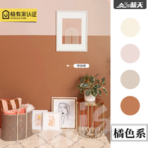 Morandi Color Ensemble Dirty Orange Interior Self-Brushed Home Orange Orange Color Paint Water-based Silicon Algae Mud Substitute Milkgel Lacquer