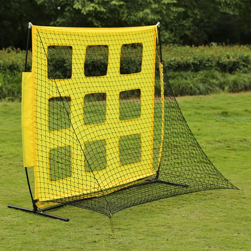 Extreme Frisbee Outdoor бросает квази-девять сетки.