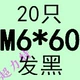 M6*60 (20)