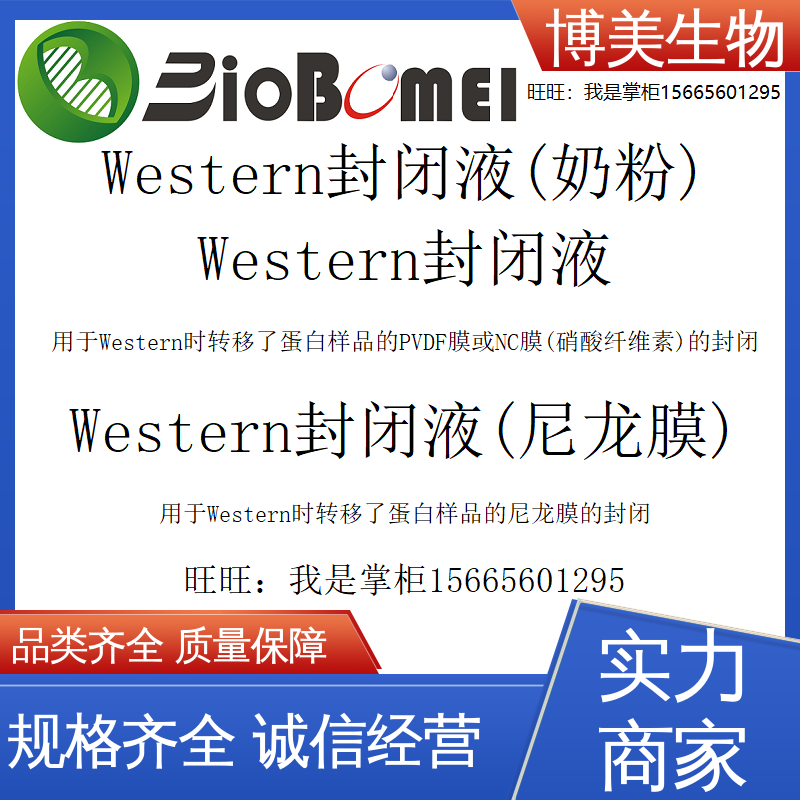 Western封闭液转移了蛋白样品的尼龙膜PVDF/NC生物实验开电子发票