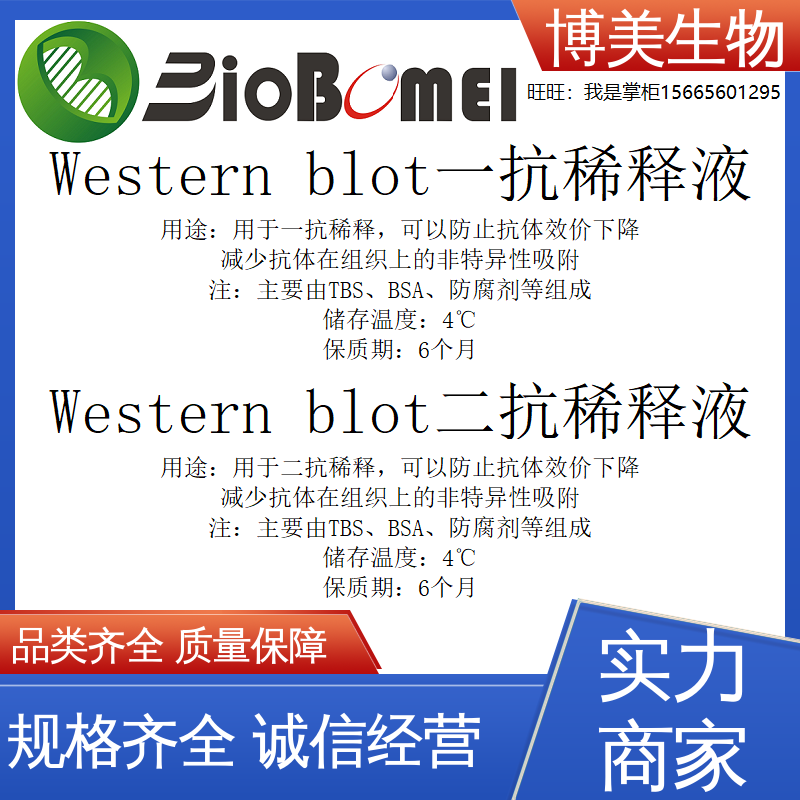 Western blot一抗/二抗稀释液防止抗体效价下降生物实验试剂 含票