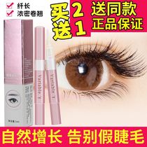 Eyelash enhancer Female eyebrows natural growth Pure natural cream thick waterproof curly growth liquid fiber length