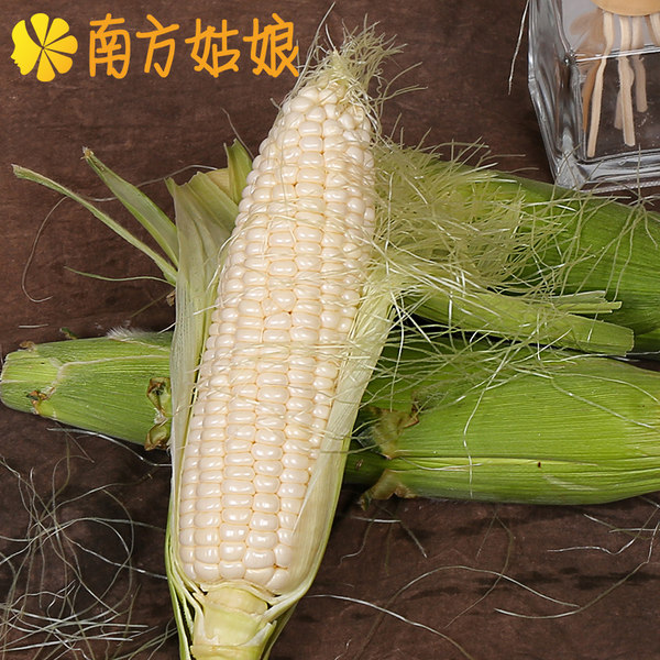 南方姑娘 新鲜水果玉米 6根装1800g 优惠券折后¥19.9包邮(¥29.9-10) 南方姑娘 新鲜水果玉米 6根装1800g 优惠券折后¥19.9包邮(¥29.9-10)