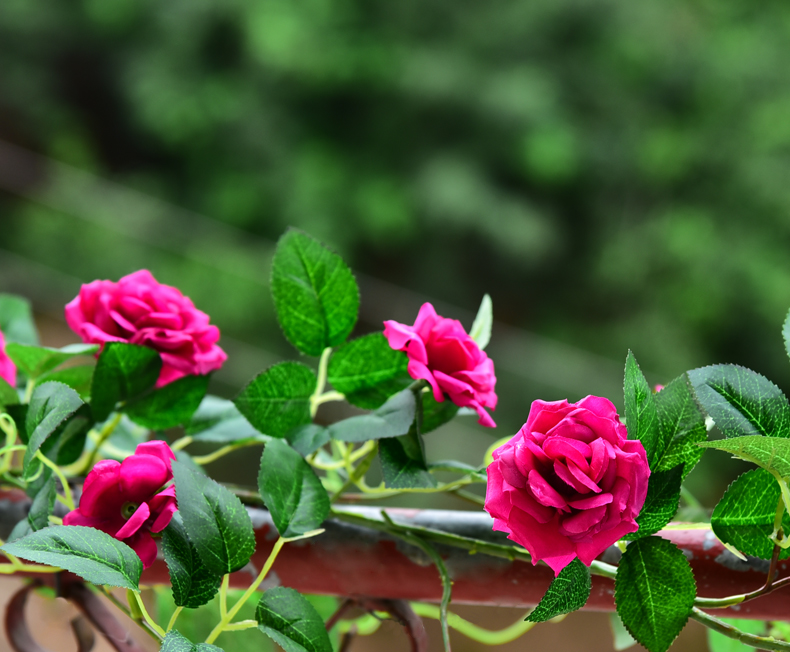 仿真葉子假花仿真玫瑰花藤條薔薇假花藤條纏繞空調管道裝飾遮擋塑料花藤蔓植物解憂大鋪子 Yahoo奇摩拍賣 仿真葉子假花仿真玫瑰花藤條薔薇假花藤條纏繞空調管道裝飾遮擋塑料花藤蔓植物解憂大鋪子 Yahoo奇摩拍賣