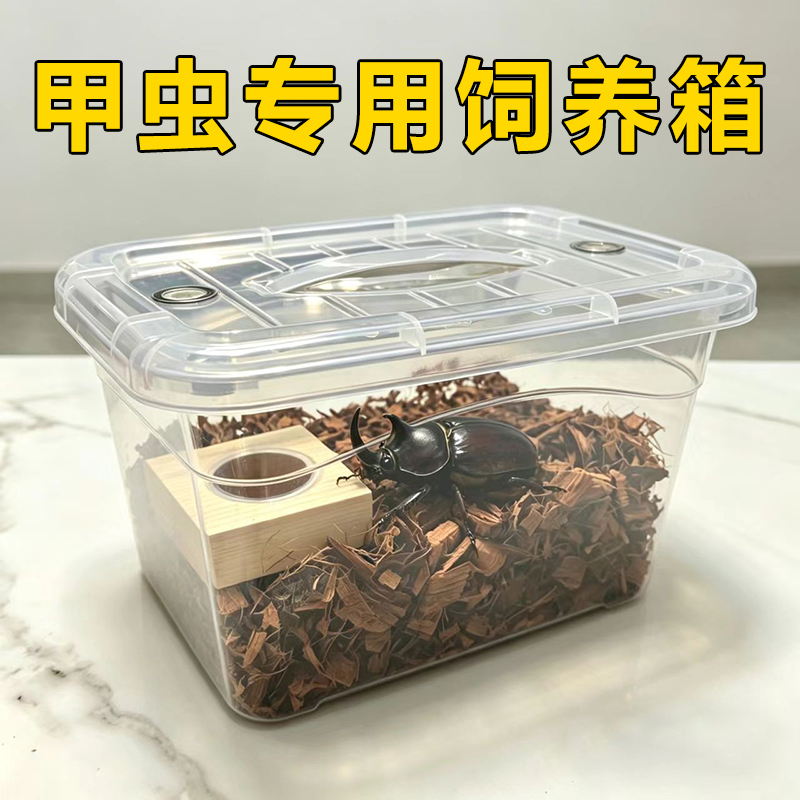 Children's Beetle Breeding Box, Reptile and Insect Adult and Larva Breeding Room, Transparent Breeding Box, Scarab and Longhorned Beetle Reptile Pet Box
