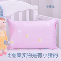 Верблюжьи поросят неглубокие (включая белую подушку ядро