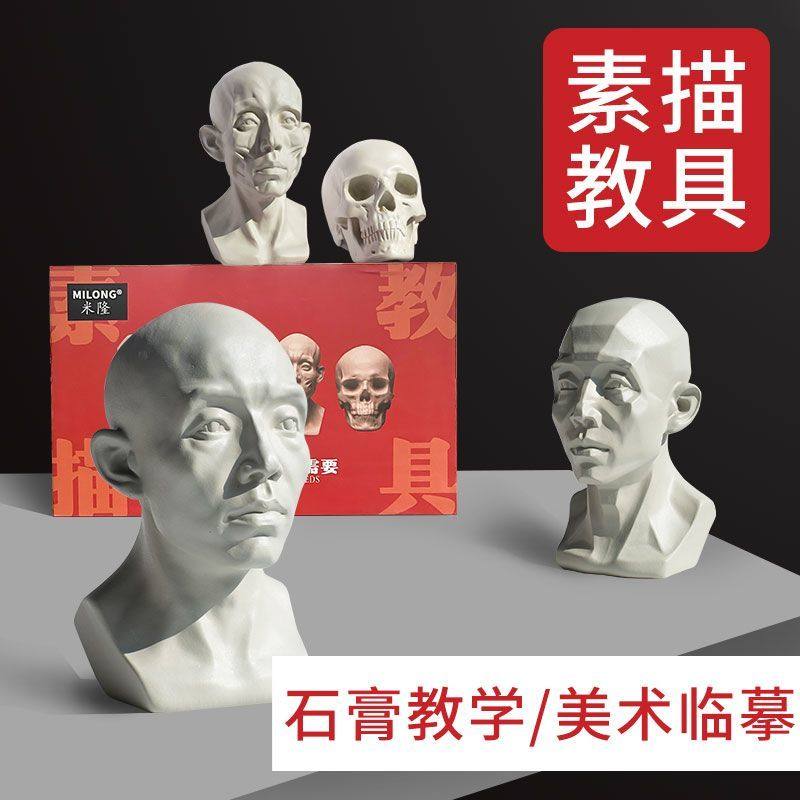 Milon resin sketching teaching tool head is the skull muscle human head of the skull of the young original youth block surface sculpture sketch sketch model