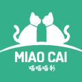 喵喵的喵彩
