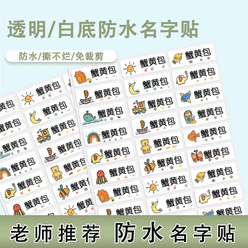 Нервущаяся водонепроницаемая самоклеющаяся именная наклейка, детская волшебная книга для детского сада