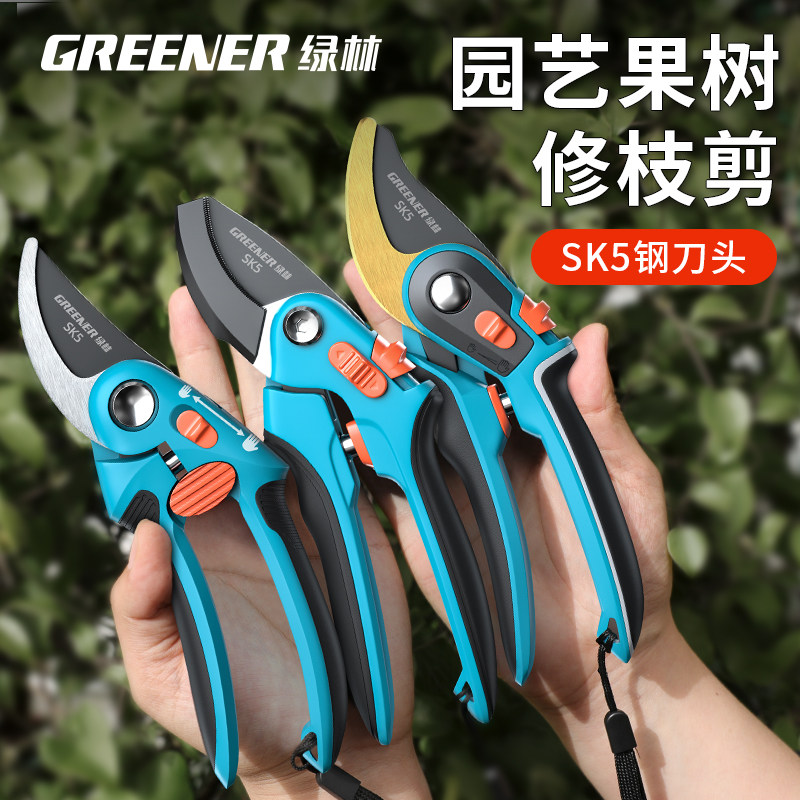 绿林剪枝剪刀果树园艺剪刀修枝剪树枝园林专用花卉修剪枝条果枝剪