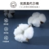 Quần lót nam mèo, quần đùi nam cotton, quần đùi nam thoáng khí mùa hè, xu hướng quần nam trẻ trung liền mạch - Vòng eo thấp