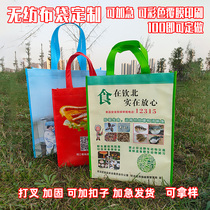 Non-woven bag custom environmental protection publicity film color canvas takeaway bag custom LOGO expedited spot factory
