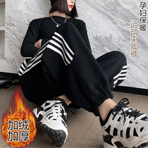 Pregnant Woman Pants External Wear Spring Autumn Clothing Straight Cylinder Gestation Womens Clothing Autumn Winter Style Womens Bottom Pants Plus Suede Thickening Long Pants Autumn winter