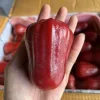Товары от 张大姐生鲜