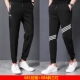 Quần thể thao nam Mùa hè Quần thường Quần chân Quần kín Quần bảo vệ Kích cỡ lớn Quần chân Mục mỏng Quần chín quần thể dục