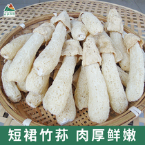 Short-skirted bamboo fungus Jinggangshan self-grown bamboo fungus 100g farmhouse sulfur-free unopened skirt bamboo sun mushroom bud hot pot soup dry goods