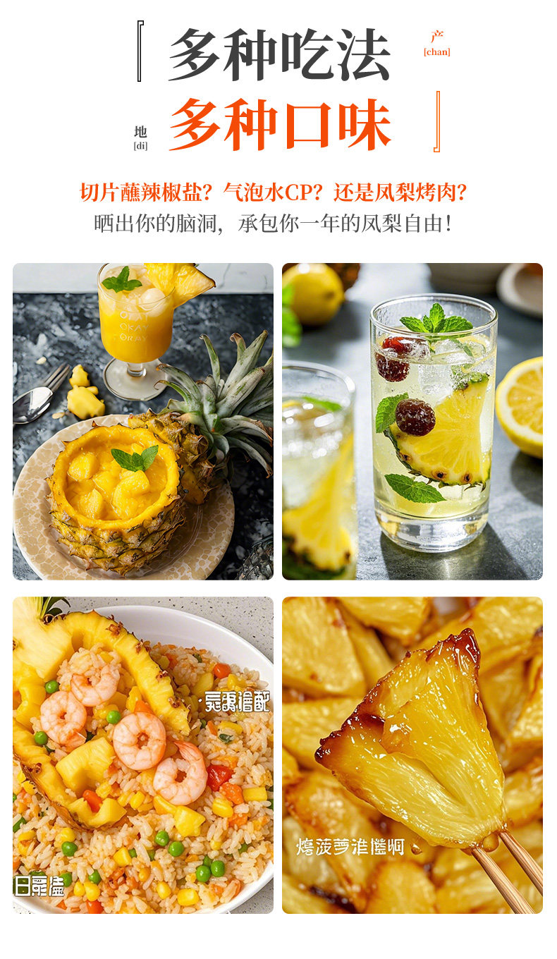 O1CN0119XjQs1Xuiz7H1nbx_!!2926862984.jpg