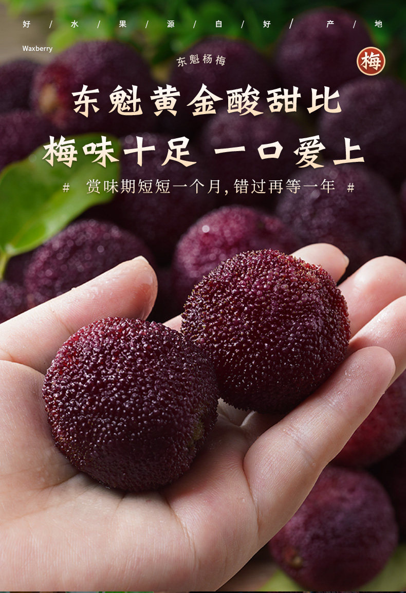 O1CN018kecai1Xuj0BBqjtI_!!2926862984.jpg