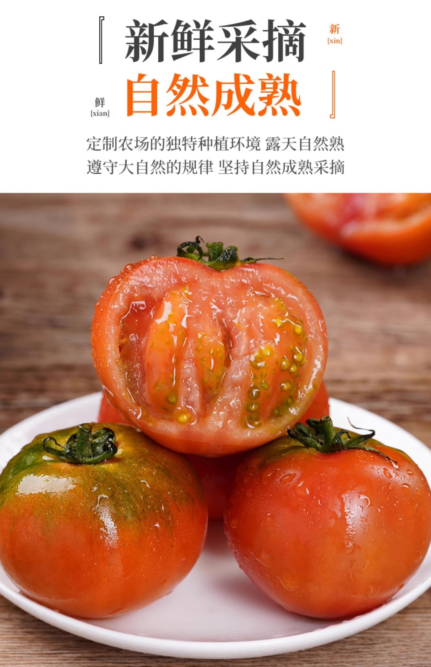 O1CN01Gt5izQ1XuiwGbTamV_!!2926862984.jpg