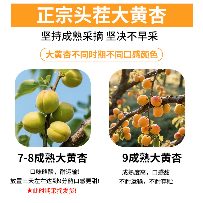 O1CN01YyeJkS1XuiuZcojvj_!!2926862984.jpg