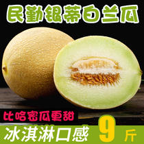 Gansu Minqin Desert Melon Silver Tie Gobi White Lan MELON MELON MELON MELON MELON MELON MELON fresh fruit 9kg whole season season