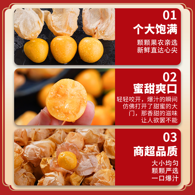 【顺丰】东北正宗菇娘果黄姑娘黑龙江特产精选大果洋菇鸟灯笼果，一口爆汁的“小灯笼”你吃过了吗？