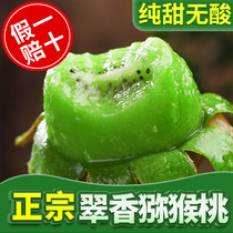 Shaanxi Zhouzhi Cuixiang kiwi fruit kiwi fruit fresh seasonal whole box kiwi fruit 10kg