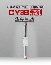 Magnetic Puppet-type without lever cylinder CY3B20H CY1B20-100X150X200X250X300X350X400X500